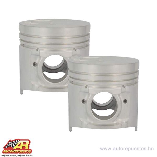 PISTONES W9 B2900 AF 95.0M/M 99-